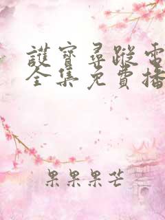 护宝寻踪电视剧全集免费播放