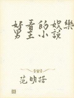 好看的娱乐圈双男主小说