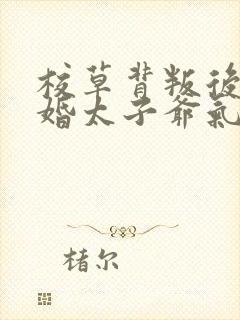 校草背叛后我闪婚太子爷气疯他免费阅读