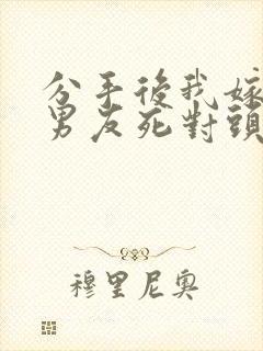 分手后我嫁给前男友死对头沈淮