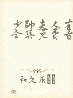 少帅夫人有点野全集免费看