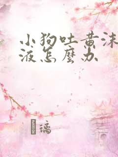 小狗吐黄沫子粘液怎么办