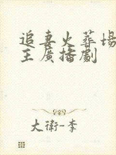 追妻火葬场双男主广播剧