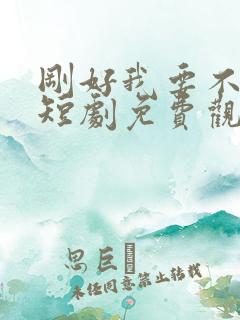 刚好我要不爱你短剧免费观看