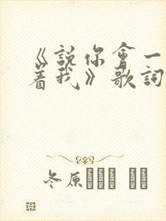 《说你会一直爱着我》歌词