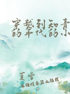 穿越到知青下乡的年代的小说