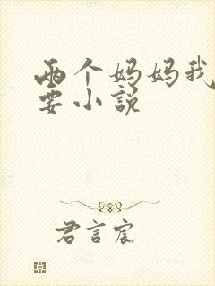 两个妈妈我都想要小说