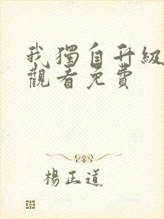 我独自升级动漫观看免费