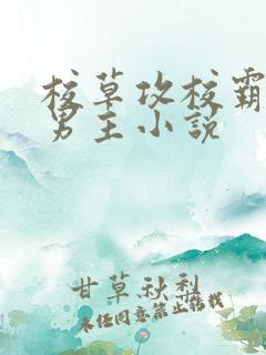 校草攻校霸受双男主小说