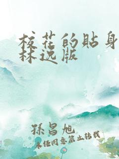 校花的贴身高手林逸版