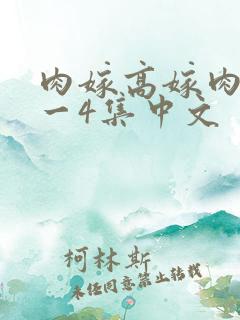 肉嫁高嫁肉柳1一4集中文