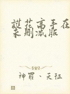 护花高手在都市未删减版