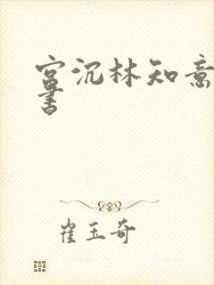 宫沉林知意电子书