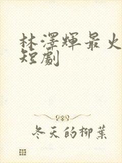 林泽辉最火十部短剧