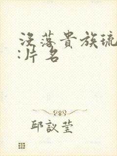 没落贵族琉璃川:片名