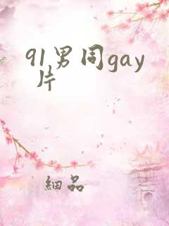 91男同gay 片