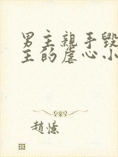 男主亲手毁了女主的虐心小说