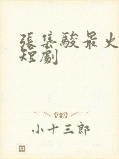 张集骏最火十部短剧