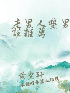 老男人双男主小说推荐