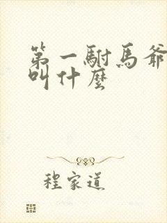 第一驸马爷主演叫什么