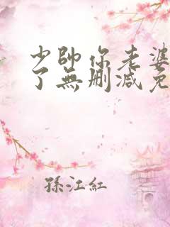 少帅你老婆又跑了无删减免费阅读