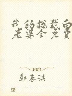 我的总裁白富美老婆全免费的小说