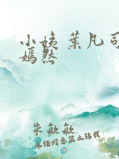 小姨 叶凡司空嫣然