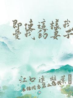 即使这样我依然爱我的妻子第二季