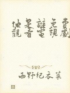 他是谁免费全集观看电视剧