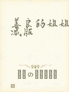 善良的姐姐未删减版