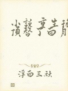 小说 重生后我顶替了白月光