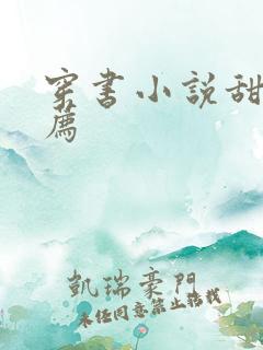 穿书小说甜文推荐