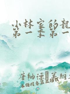 小林家的龙女仆第一季第一集无删减