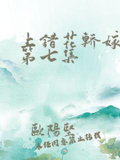 上错花轿嫁王爷第七集