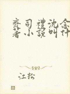 齐司礼沈念一原著小说叫什么