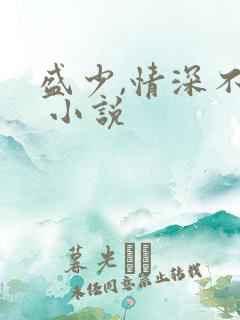 盛少,情深不晚 小说