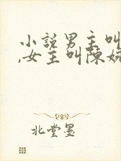 小说男主叫秦昊,女主叫陈婉