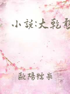 小说:大乾憨婿