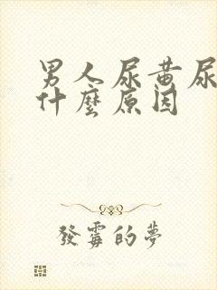 男人尿黄尿臭是什么原因