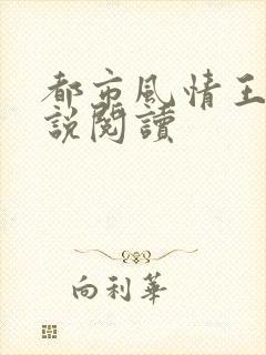 都市风情王枫小说阅读