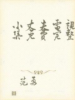 小丈夫电视剧全集免费完整版在线观看