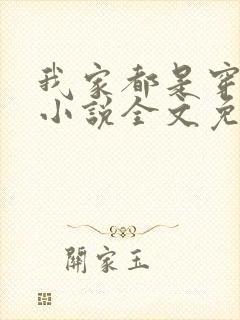 我家都是穿来的小说全文免费阅读