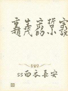 重生宋哲宗儿子赵茂的小说