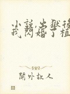 小说,出狱后,我闪婚了植物人大佬