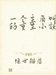 一个主角叫沈浪的重生小说