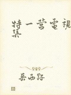 特一营电视剧全集