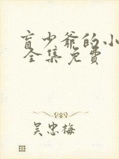 盲少爷的小女仆 全集免费