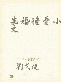 先婚后爱小说甜文