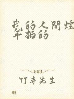 我的人间烟火哪年拍的