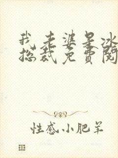 我老婆是冰山女总裁免费阅读最新